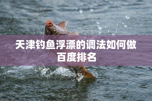 天津钓鱼浮漂的调法如何做百度排名