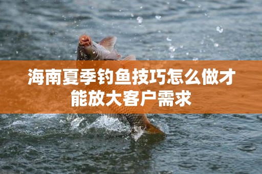 海南夏季钓鱼技巧怎么做才能放大客户需求