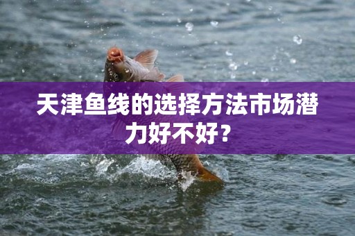 天津鱼线的选择方法市场潜力好不好？