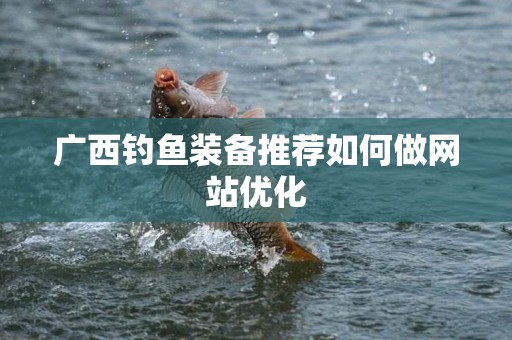 广西钓鱼装备推荐如何做网站优化