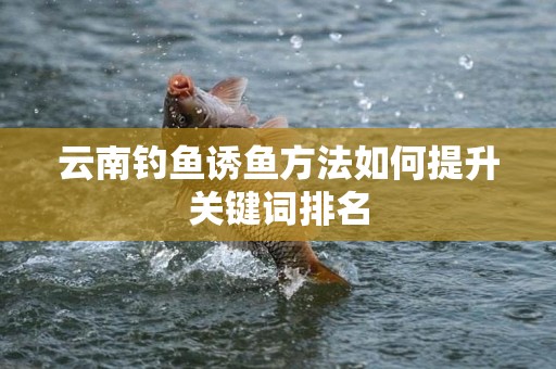 云南钓鱼诱鱼方法如何提升关键词排名