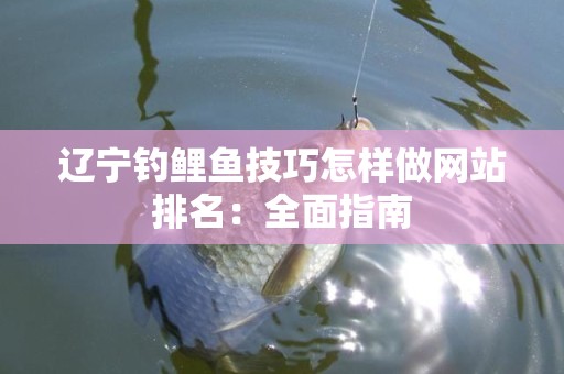辽宁钓鲤鱼技巧怎样做网站排名：全面指南