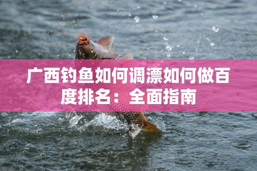 广西钓鱼如何调漂如何做百度排名：全面指南