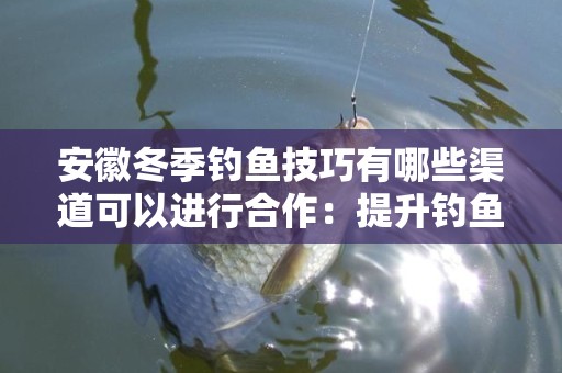 安徽冬季钓鱼技巧有哪些渠道可以进行合作：提升钓鱼体验的指南