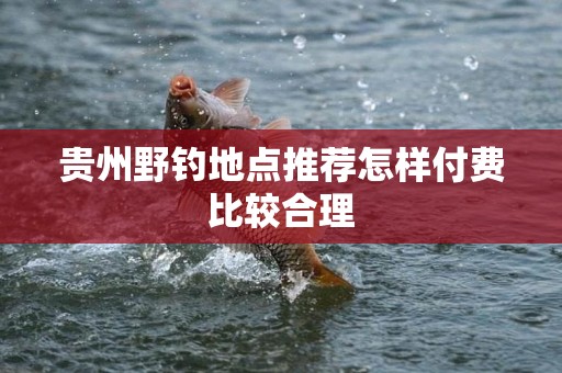 贵州野钓地点推荐怎样付费比较合理