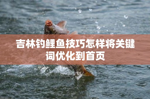 吉林钓鲤鱼技巧怎样将关键词优化到首页