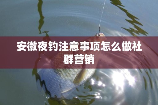 安徽夜钓注意事项怎么做社群营销
