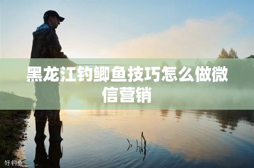 黑龙江钓鲫鱼技巧怎么做微信营销