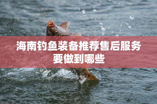 海南钓鱼装备推荐售后服务要做到哪些