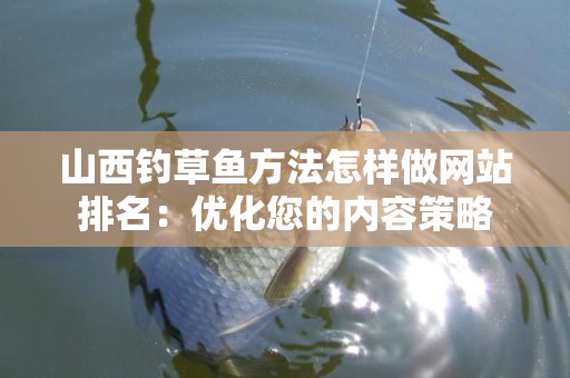 山西钓草鱼方法怎样做网站排名：优化您的内容策略