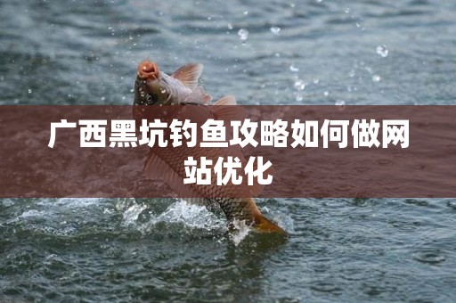广西黑坑钓鱼攻略如何做网站优化