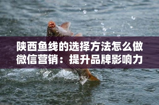 陕西鱼线的选择方法怎么做微信营销：提升品牌影响力的策略