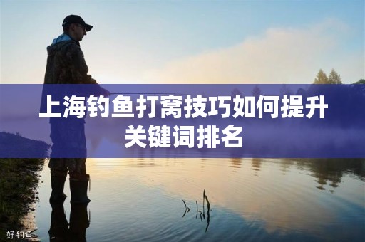 上海钓鱼打窝技巧如何提升关键词排名