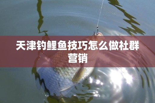 天津钓鲤鱼技巧怎么做社群营销