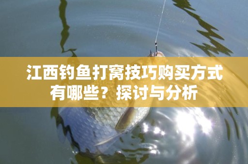 江西钓鱼打窝技巧购买方式有哪些？探讨与分析