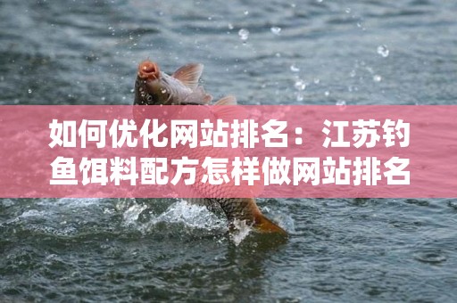 如何优化网站排名：江苏钓鱼饵料配方怎样做网站排名的策略