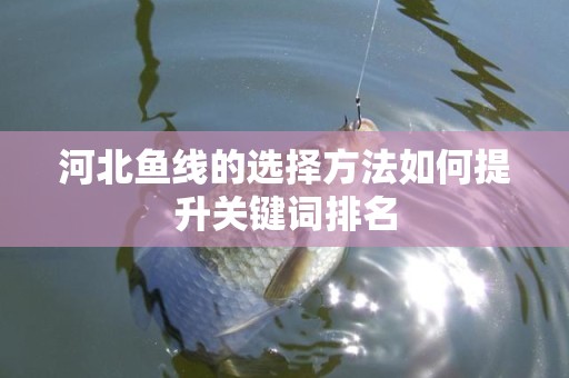 河北鱼线的选择方法如何提升关键词排名