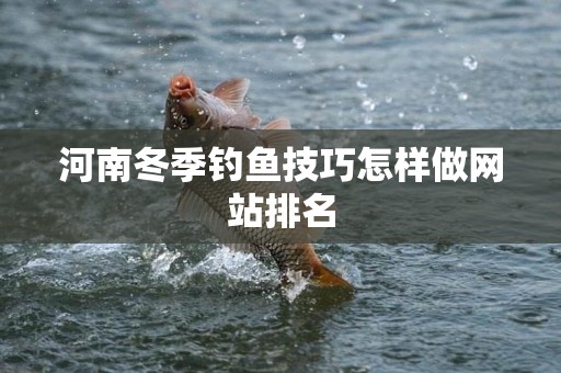 河南冬季钓鱼技巧怎样做网站排名
