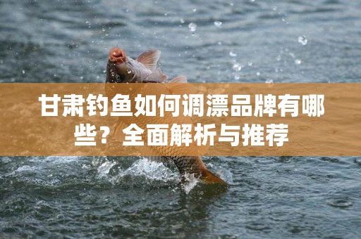 甘肃钓鱼如何调漂品牌有哪些？全面解析与推荐