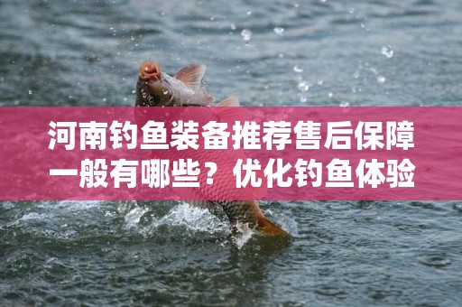 河南钓鱼装备推荐售后保障一般有哪些？优化钓鱼体验的关键