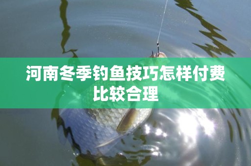 河南冬季钓鱼技巧怎样付费比较合理