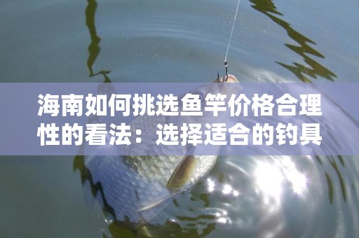 海南如何挑选鱼竿价格合理性的看法：选择适合的钓具，性价比才是王道