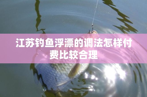 江苏钓鱼浮漂的调法怎样付费比较合理