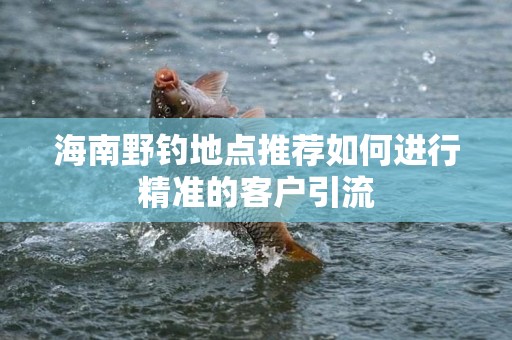 海南野钓地点推荐如何进行精准的客户引流