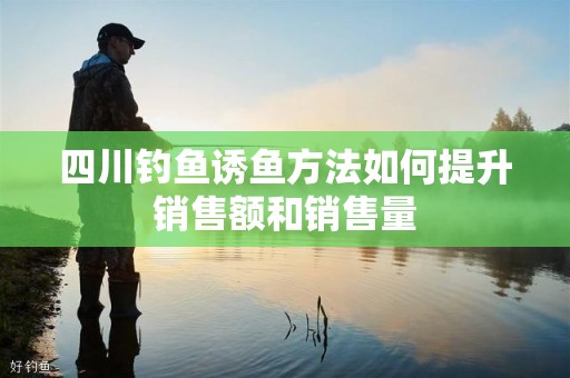 四川钓鱼诱鱼方法如何提升销售额和销售量