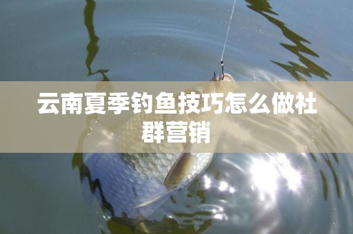 云南夏季钓鱼技巧怎么做社群营销