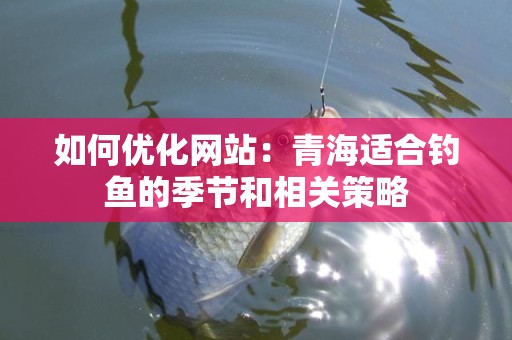 如何优化网站：青海适合钓鱼的季节和相关策略