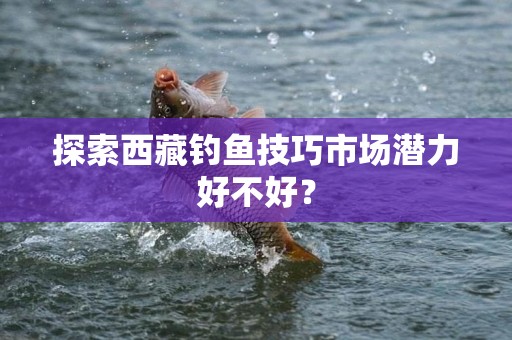探索西藏钓鱼技巧市场潜力好不好？