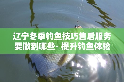 辽宁冬季钓鱼技巧售后服务要做到哪些- 提升钓鱼体验的全面指南