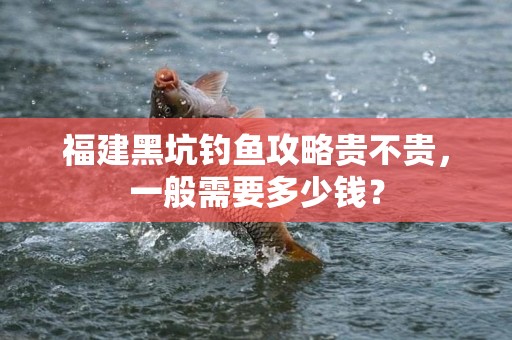 福建黑坑钓鱼攻略贵不贵，一般需要多少钱？