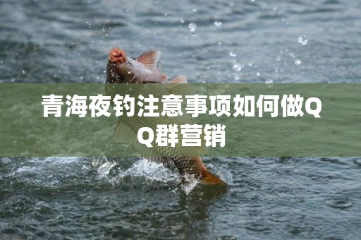 青海夜钓注意事项如何做QQ群营销