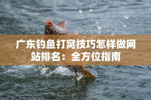 广东钓鱼打窝技巧怎样做网站排名：全方位指南