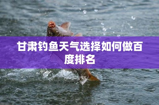 甘肃钓鱼天气选择如何做百度排名