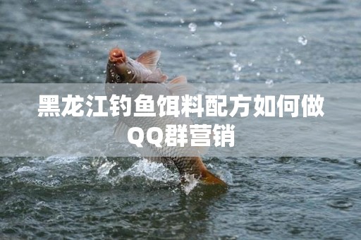 黑龙江钓鱼饵料配方如何做QQ群营销