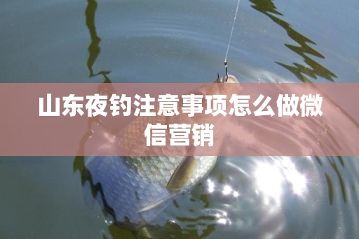 山东夜钓注意事项怎么做微信营销