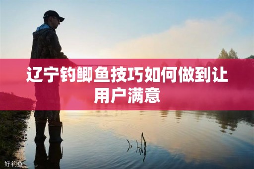 辽宁钓鲫鱼技巧如何做到让用户满意