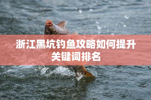 浙江黑坑钓鱼攻略如何提升关键词排名