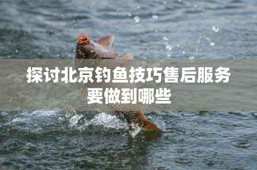 探讨北京钓鱼技巧售后服务要做到哪些