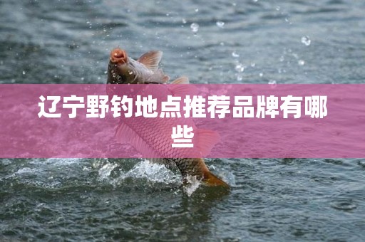 辽宁野钓地点推荐品牌有哪些
