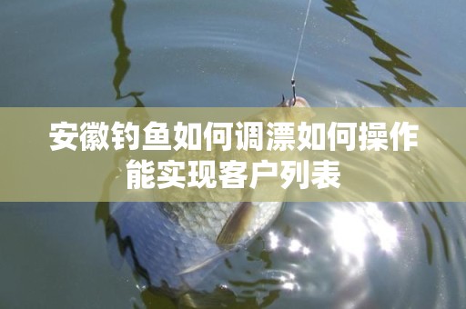 安徽钓鱼如何调漂如何操作能实现客户列表