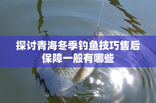 探讨青海冬季钓鱼技巧售后保障一般有哪些