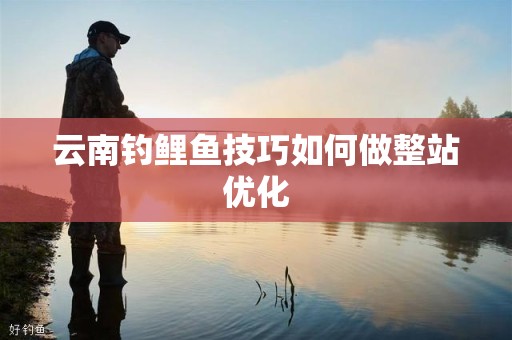 云南钓鲤鱼技巧如何做整站优化