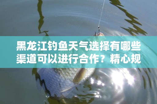 黑龙江钓鱼天气选择有哪些渠道可以进行合作？精心规划，钓鱼更成功！