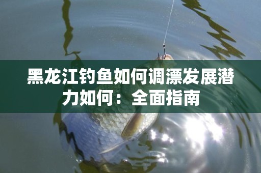 黑龙江钓鱼如何调漂发展潜力如何：全面指南