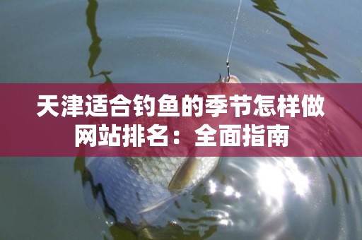 天津适合钓鱼的季节怎样做网站排名：全面指南