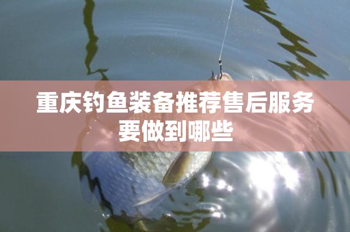 重庆钓鱼装备推荐售后服务要做到哪些